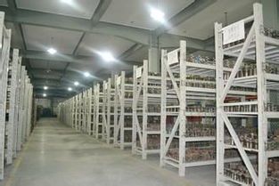 靈活倉儲新選擇 上海小倉庫30平起租，短租臨時倉儲服務全解析